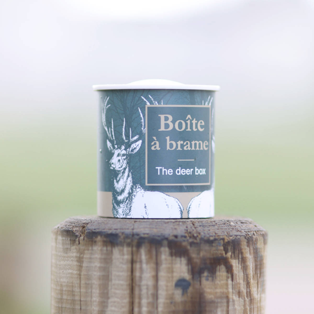 Boîte à Brame - Cerf de Chambord