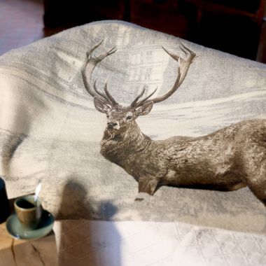 Plaid cerf à Chambord