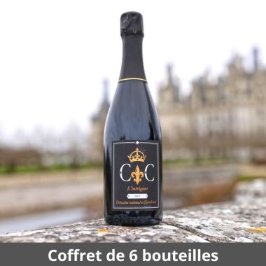 L'intrigant - Vin effervescent Blanc Brut