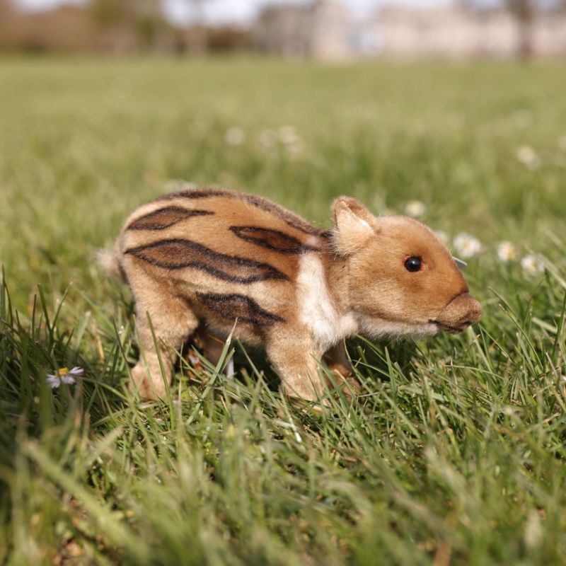 Peluche Marcassin
