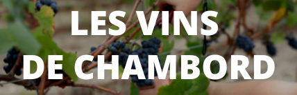 Les vins de Chambord
